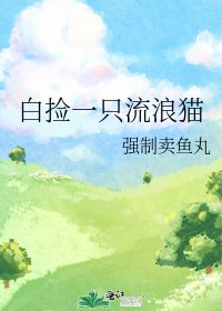 白撿一隻流浪貓