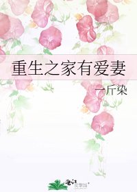 重生之家有愛妻